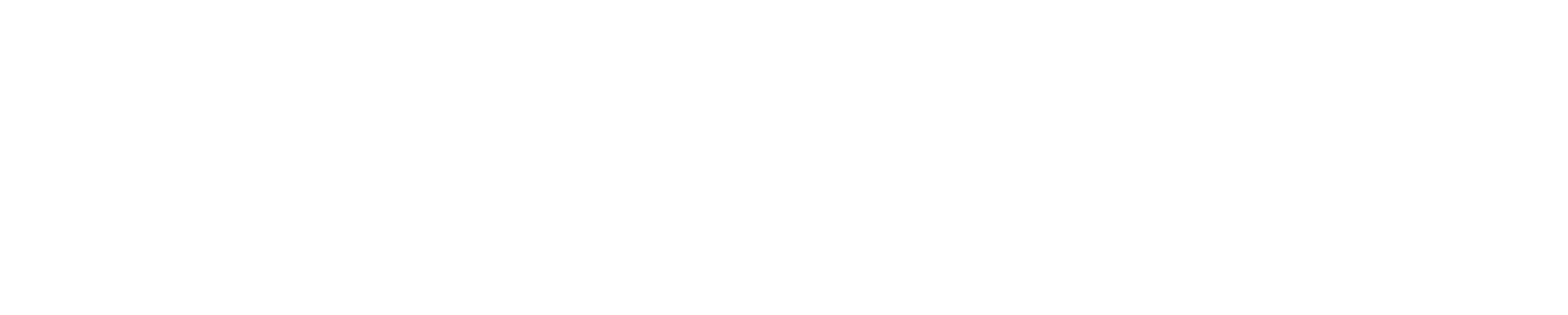 Bolesca Logo